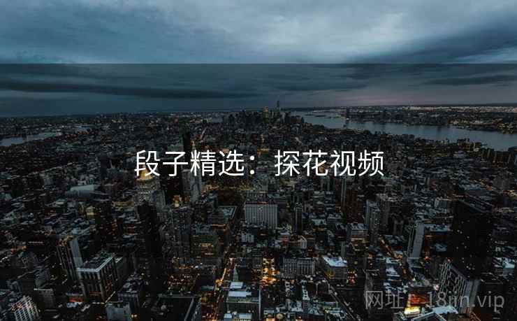 段子精选：探花视频