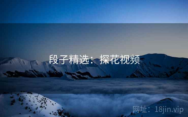 段子精选：探花视频