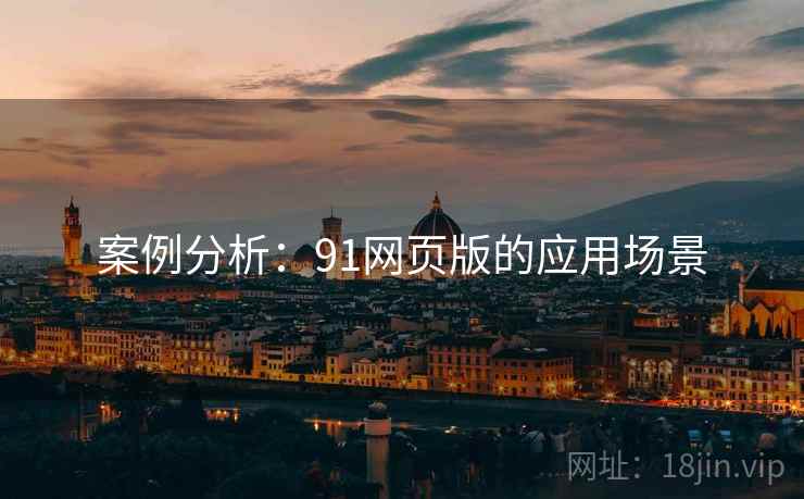 案例分析：91网页版的应用场景  第2张