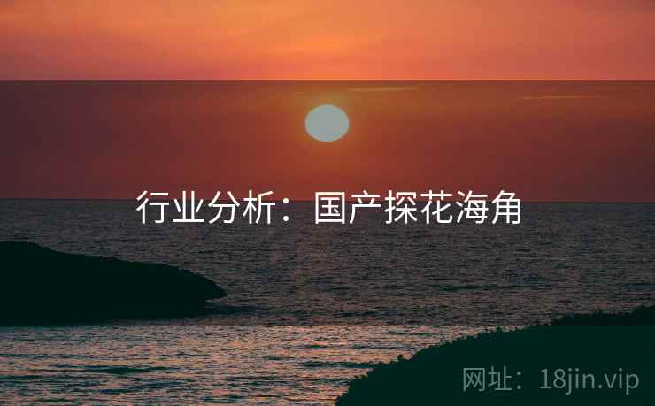 行业分析：国产探花海角