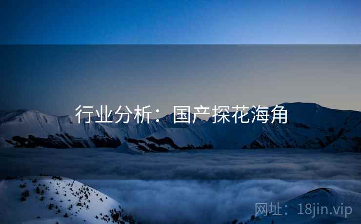 行业分析：国产探花海角