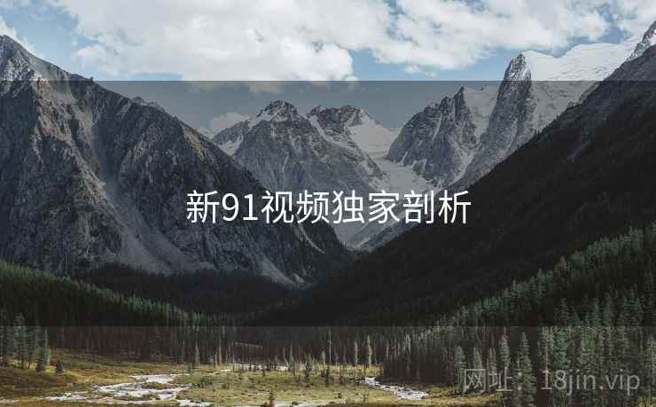 新91视频独家剖析