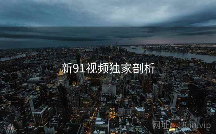 新91视频独家剖析