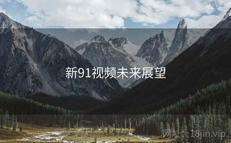 新91视频未来展望