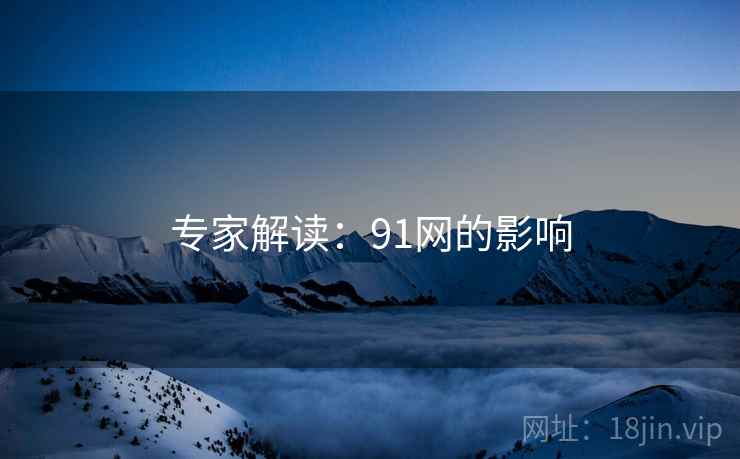 专家解读：91网的影响