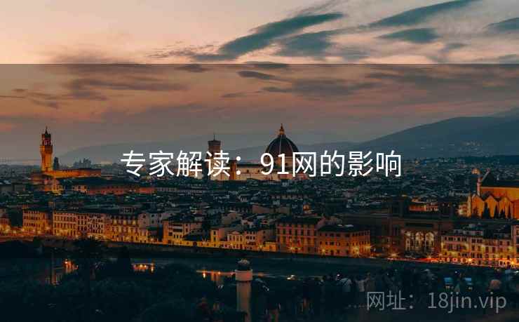 专家解读：91网的影响