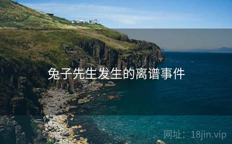 兔子先生发生的离谱事件