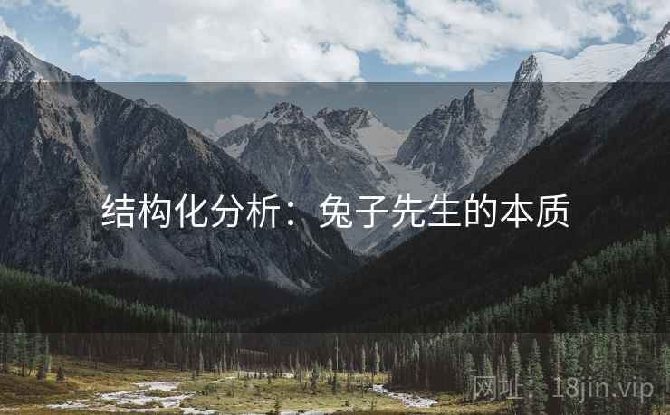 结构化分析：兔子先生的本质