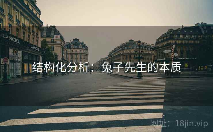 结构化分析：兔子先生的本质